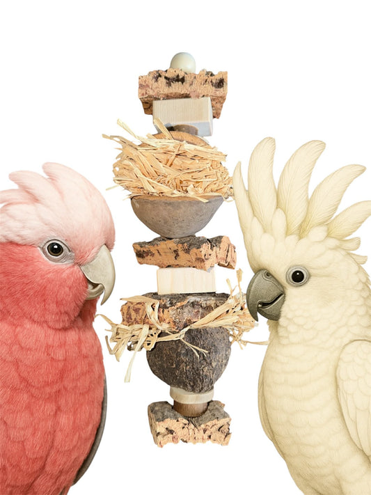 FensieVogels Natuur Speeltje – Budanoot Discoverie