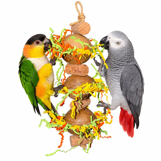 Palm Fiesta – Natuurlijk Sloopplezier