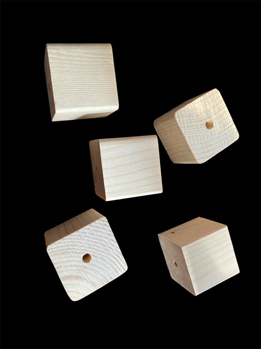 Fensie Vierkant Schijfjes (40 x 42 x 44 mm) – Creatief Vogel Speelgoedmateriaal