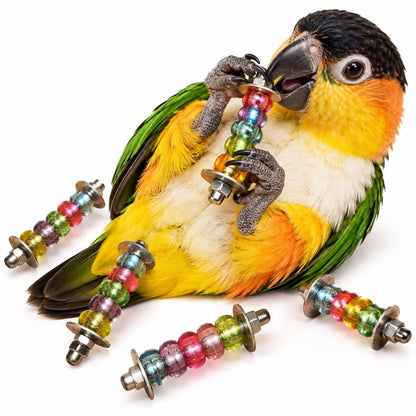 RVS Rainbow Rascals – Voetspeeltje