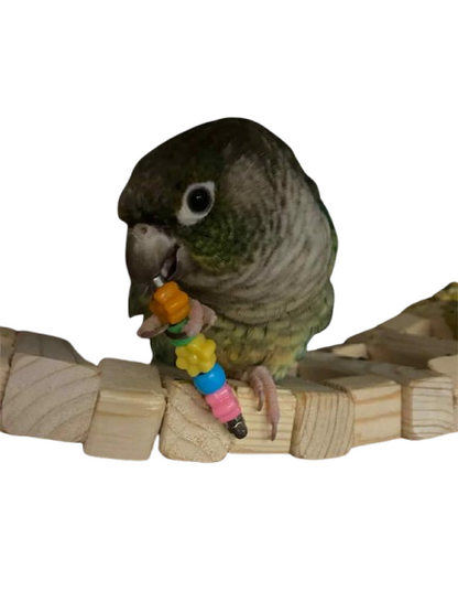 Pik & Grijp – Mini Parkietenplezier – 5cm RVS & Acryl Voetspeeltje