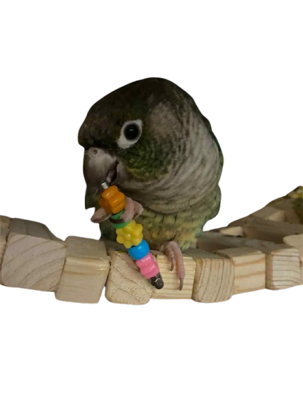 Pik & Grijp – Mini Parkietenplezier – 5cm RVS & Acryl Voetspeeltje