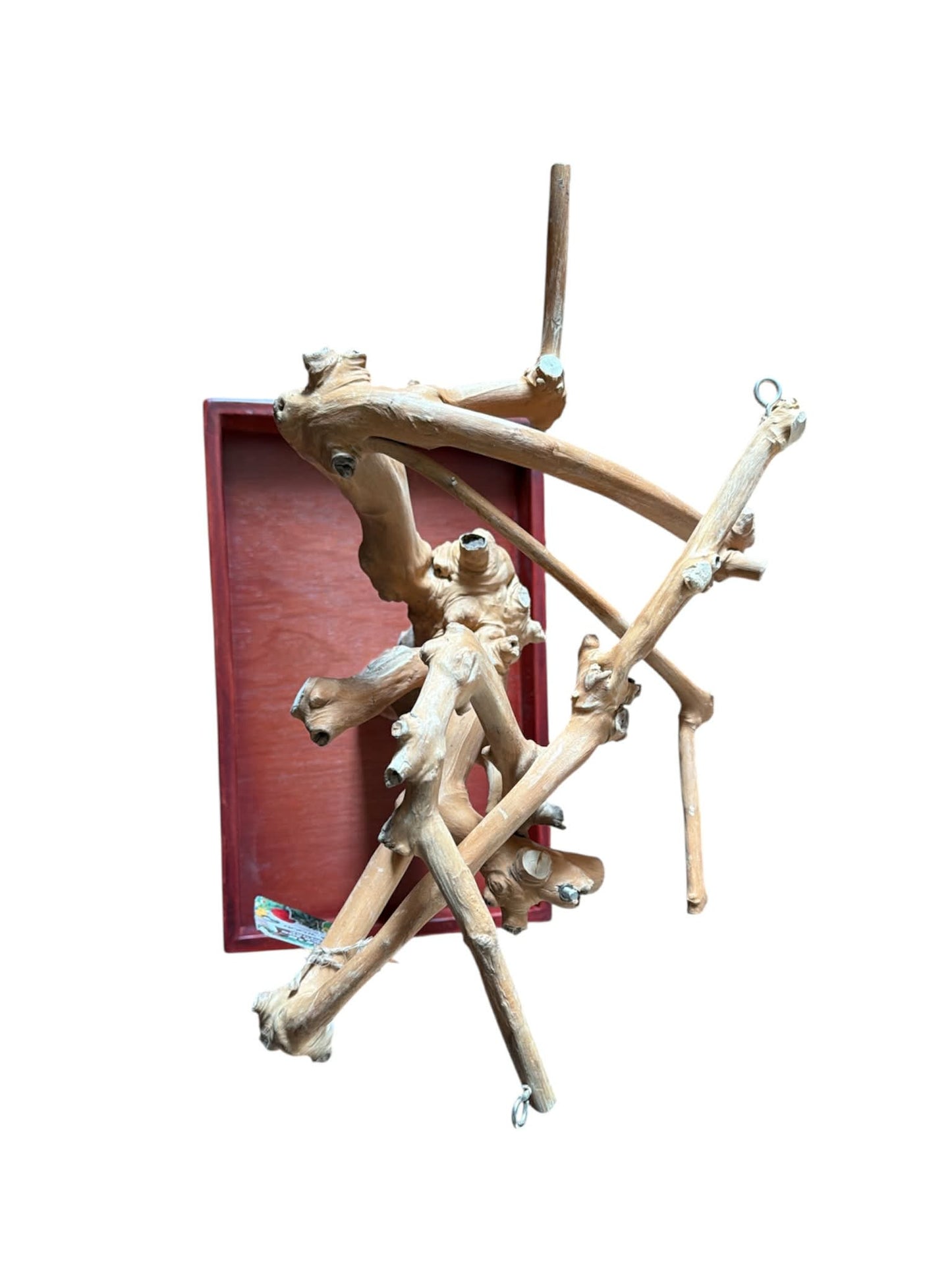 Back Zoo Nature Java Tree Playstand + Plateau Premium Small