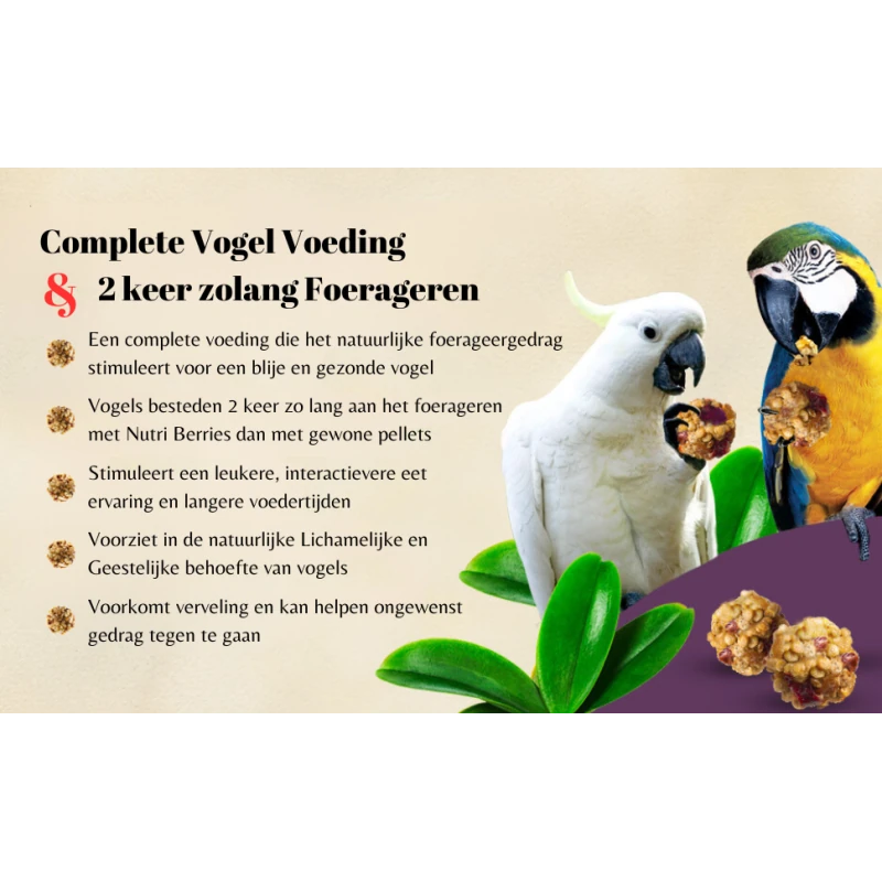 Lafeber Nutri-Berries Tropical Fruit Papegaai 284 gram
