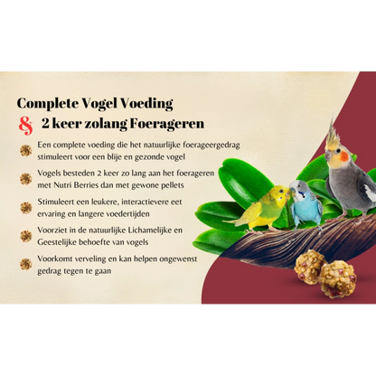 Lafeber Nutri-Berries Tropical Fruit Parkiet 284 gram