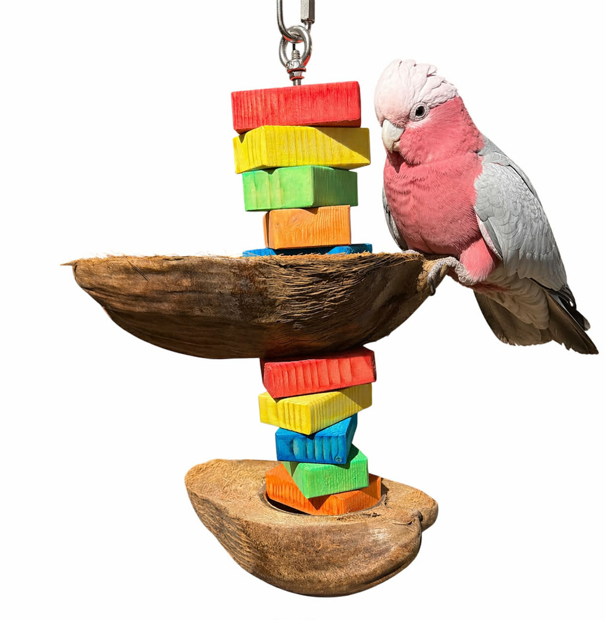 Coco Blokken Feest – 38cm RVS Spies voor papegaaien