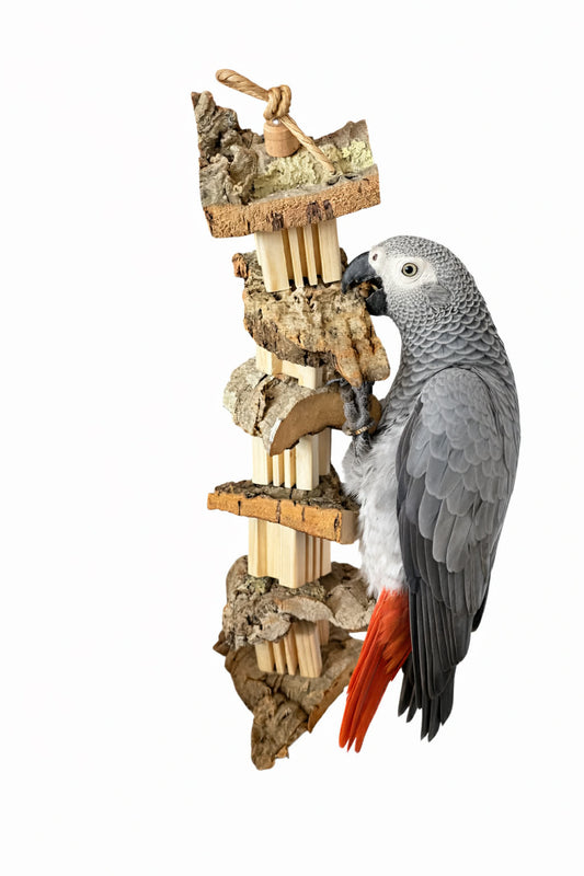 papegaaien speelgoed 